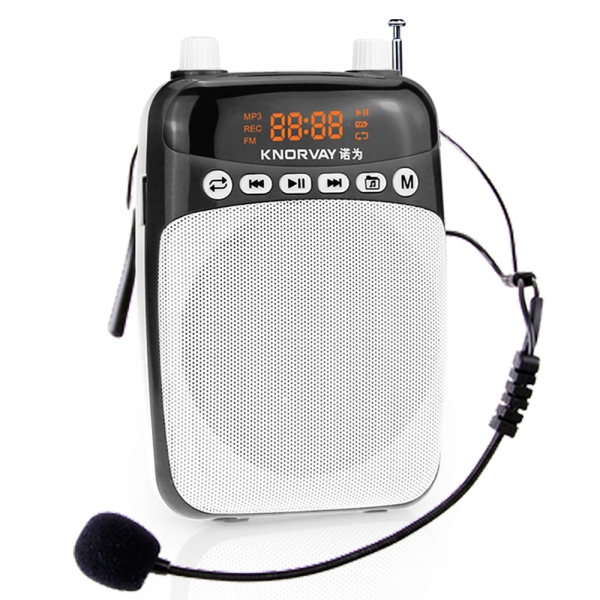 S308 普通版 有线和FM无线扩音/U盘/TF卡/AUX/FM收音机/2000mAh/黑色