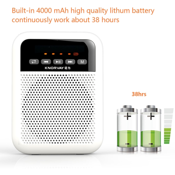 S330 wired voice amplifier